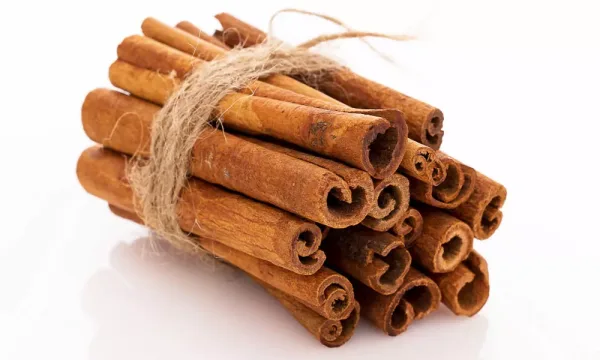 Rolled-Cinnamon-2.webp