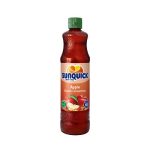 Sunquick-Berrymix-Fruit-Drink-1ltr.jpeg